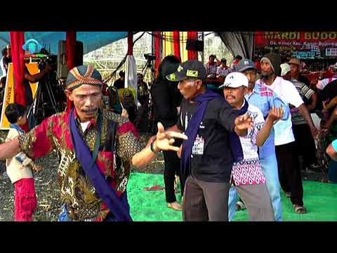 TAYUB TUBAN : LARANG UDAN