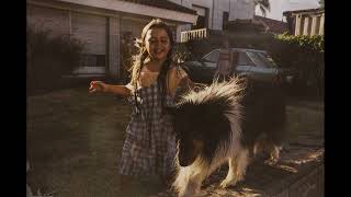 Pedigree Era Bueno, Ahora Es Mejor (2026) | Nutrición Completa Que Resalta Lo Mejor de Tu Perro