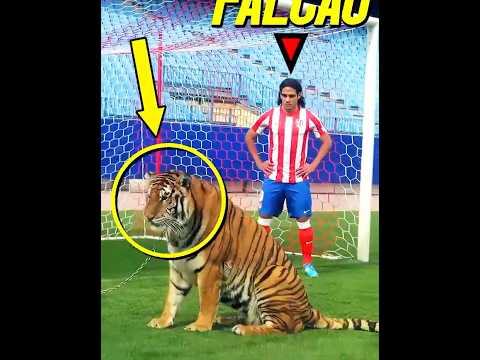 Rare Animal Moments + HIM