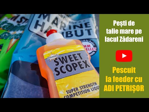 Pesti de talie mare pe lacul Zadareni