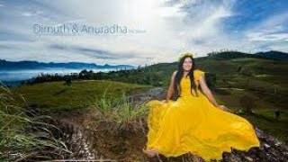 Anuradha & Dimuth Pre Wedding Shoot
