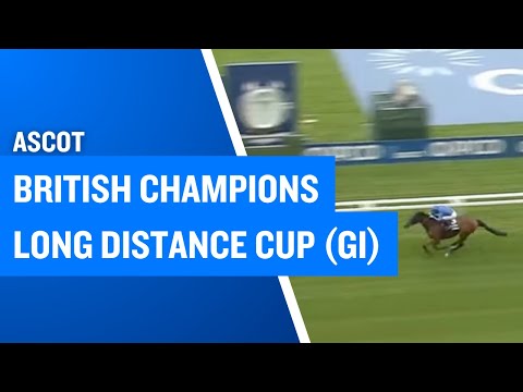 2025 British Champions Long Distance Cup (G1) at Ascot