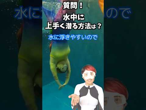 piscine jardin villa-chaises-longues-revetement-sol-palmiers