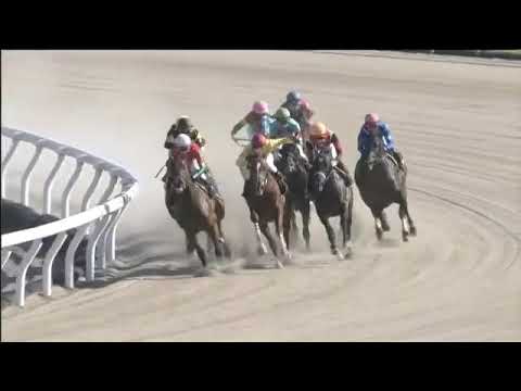 2018.10.21 Nadeshiko Sho (JPN) - Orthographe