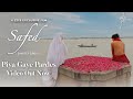 Piya Gaye Pardes (Video) | Safed | Sandeep Singh | Shail Hada, A M Turaz | Meera C, Abhay V