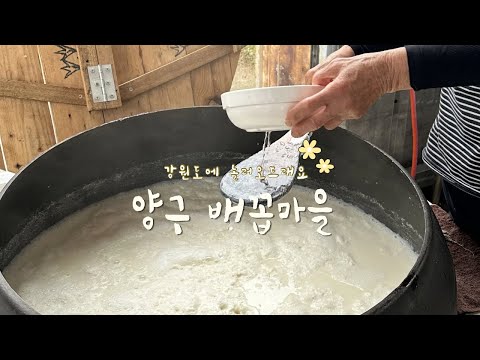 양구 배꼽마을