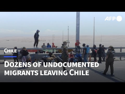 Video | Fear of mass deportation drives dozens of undocumented migrants to leave Chile | AFP