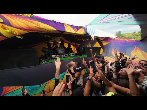 Chemical Noise - Full Set Sumatra Ed. Girassóis de van Gogh