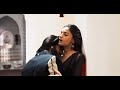 Alia Bhatt Hot Kiss In Rocky Aur Rani Ki Prem Khani