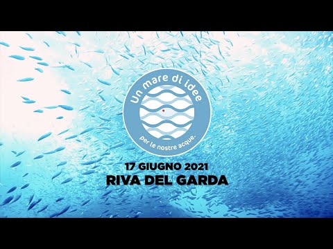 Anteprima video