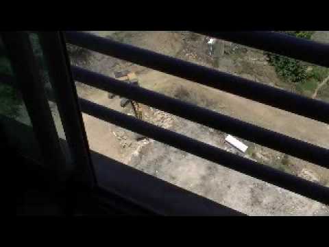 Ferienwohnung - Holiday flat