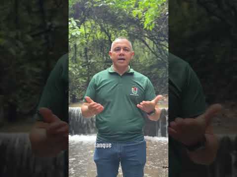 #InformaciónOficial |