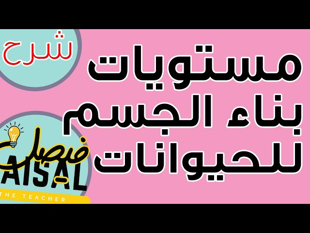 عرض تفاعلي لدرس مستويات بناء الجسم في الحيوانات -...