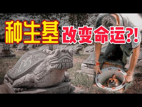 做生基是什麼