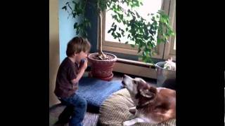 2 Year Old Plays the Harmonica and Dog Sings The Blues