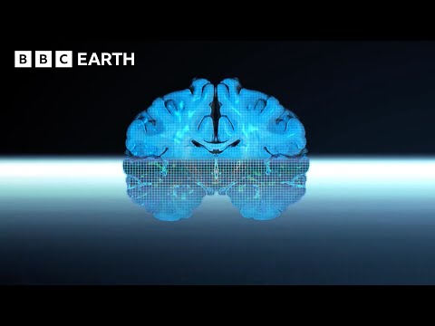 Discover The Mysteries of the Human Brain | BBC Earth Science