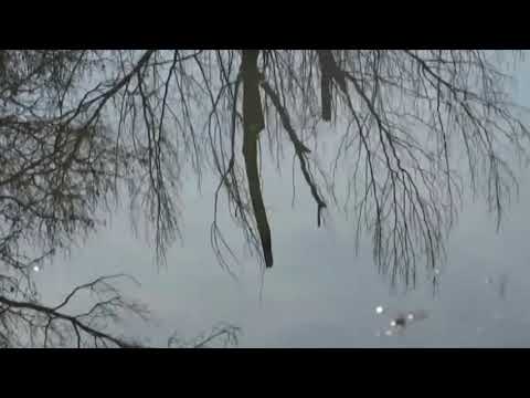 Sara Ferhati - "untitled"