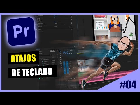 Miniatura del vídeo