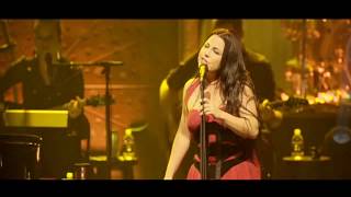 Evanescence  &quot;Imperfection&quot; ( Synthesis Live)