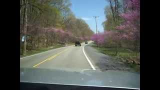 preview picture of video 'West Virginia's Redbud Row'