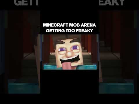 FREAKY AHH MINECRAFT MOB ARENA
