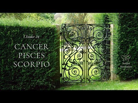 Ball's in your court, WATER Sign Oct 24 Cancer Pisces Scorpio