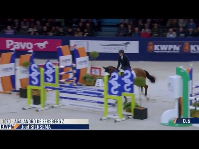 Stallionshow Agalandro keizersberg
