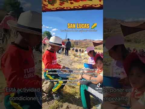 San Lucas los Cintis Chuquisaca los mejores choclos de toda bolivia 🥰