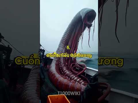 Top 10 quái vật đại dương kỳ dị bị con người săn bắt và được camera ghi lại.#top10 #animals #shorts