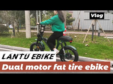 Top selling fat tire dual motor 20 inch ebike
