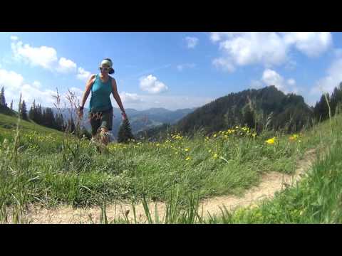 Vom Mittag, über den Bärenkopf zum Steineberg