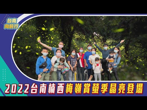 台南向前行 第6集-2022台南楠西梅嶺賞螢季晶亮登場