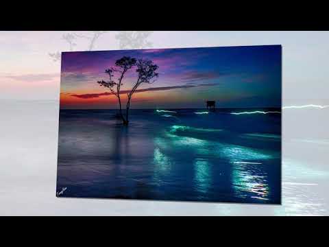 Lỡ làng - Nam Vĩnh