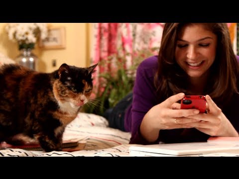 如何處理同齡人的壓力 | 國中學校 (How to Handle Peer Pressure | Middle School)