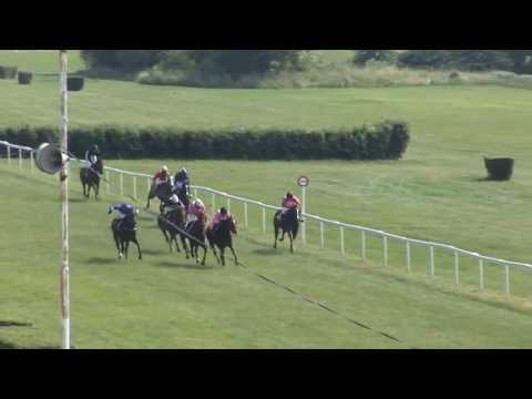 5. 7. 2013 - Cena OSČCHDK (Odhodlaných spasitelů českého chovu dostihových koní)