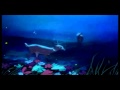 Bambi Looking For Romance Italian Reverse Scene