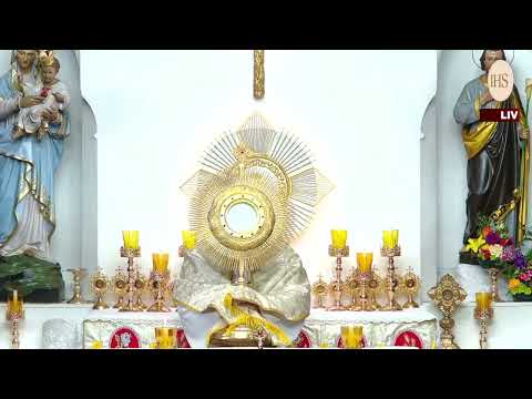 Novena to Our Lady of Lourdes | Eucharistic Blessing & Word of God | Healing & Grace