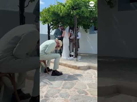 Adorable dog chooses bride for wedding day nap