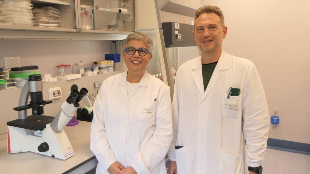 Descrizione dell'immagine