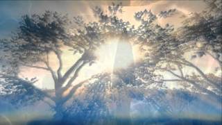 Steve Vai-Whispering A Prayer