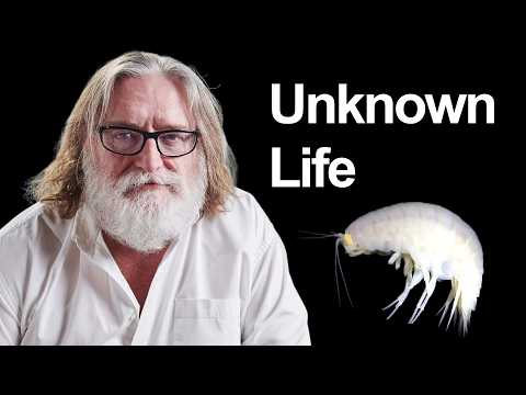 Gabe Newell Found 'Unknown Life' Under Water