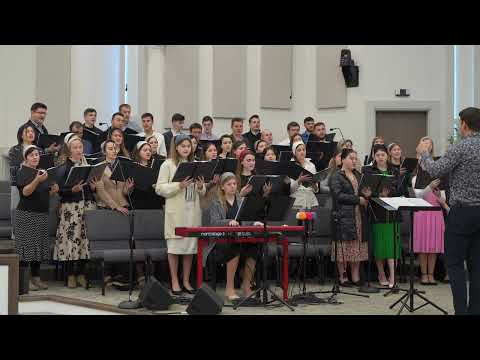 D0285 Eram jos in pacat