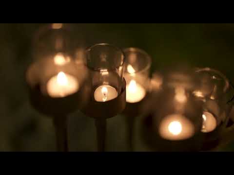 Venue video