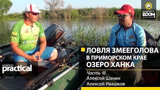 Ловля змееголова ранней весной в приморском крае