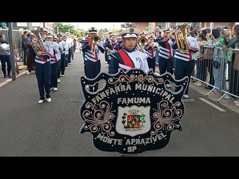 Desfile cívico em comemoração ao 7 de setembro cidade monte aprazível s.p 07/09/2026