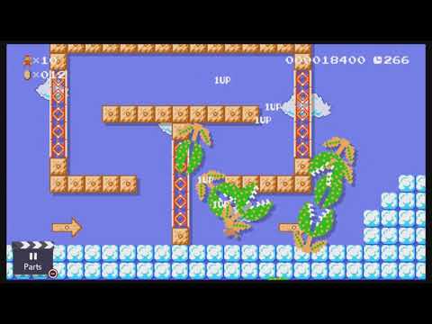 ON/OFF Switch Research Expedition - Super Mario Maker 2 - 48s