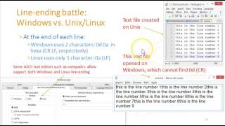 Como bem usar computador: Convenções para identificar fim de linha em arquivo texto ASCII