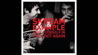 Skream &amp; Example - Shot Yourself In The Foot Again