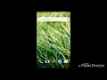 How to support airshou in king root application How to support airshou in king root application