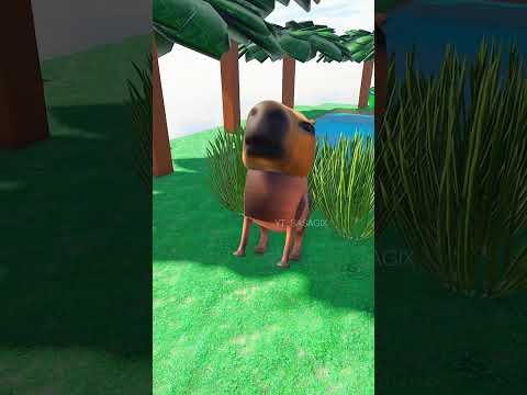 🐀 Insane Capybara 🐀 (Roblox Memes) #sasagix